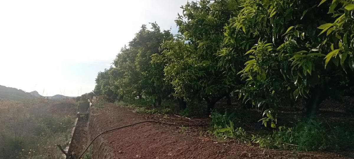 Terreno en venta en Quart de les Valls, Valencia photo 2