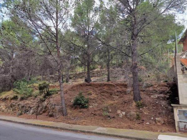Terreno en C. 6, 43 D photo 4