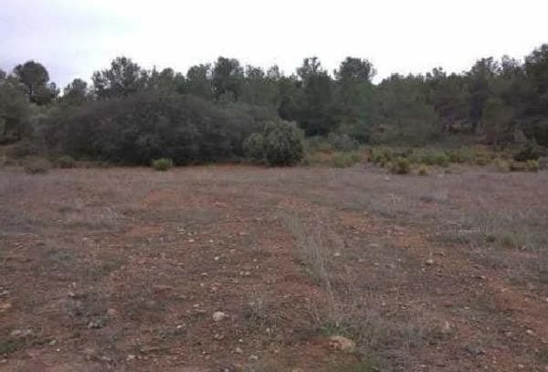 Terreno en avenida de Valencia photo 1