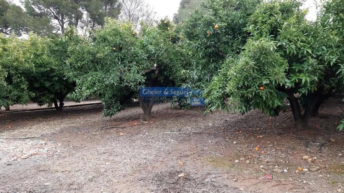 Terreno en venta en Sagunto/Sagunt, Valencia photo 2