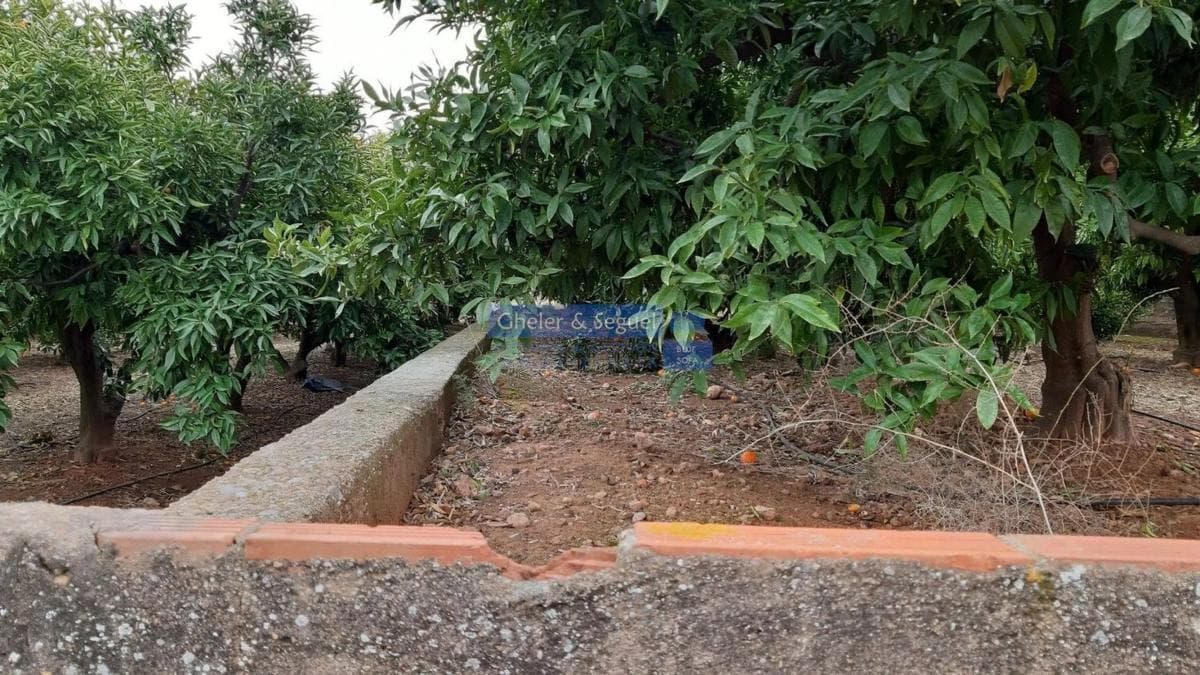 Terreno en venta en Sagunto/Sagunt, Valencia photo 4