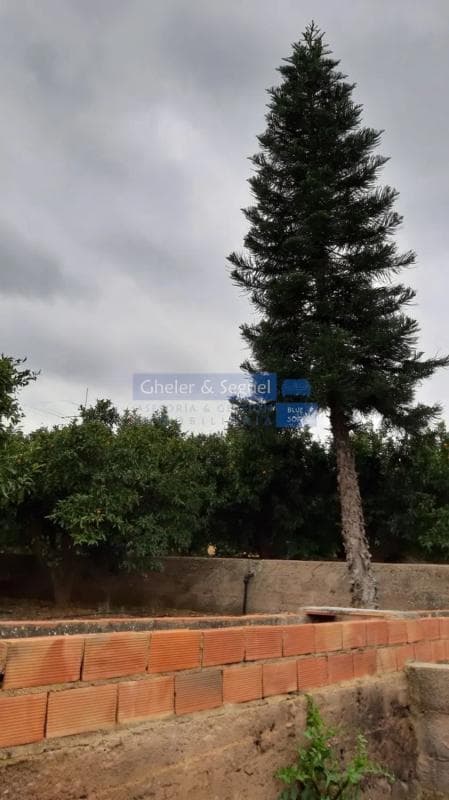 Terreno en venta en Sagunto/Sagunt, Valencia photo 5