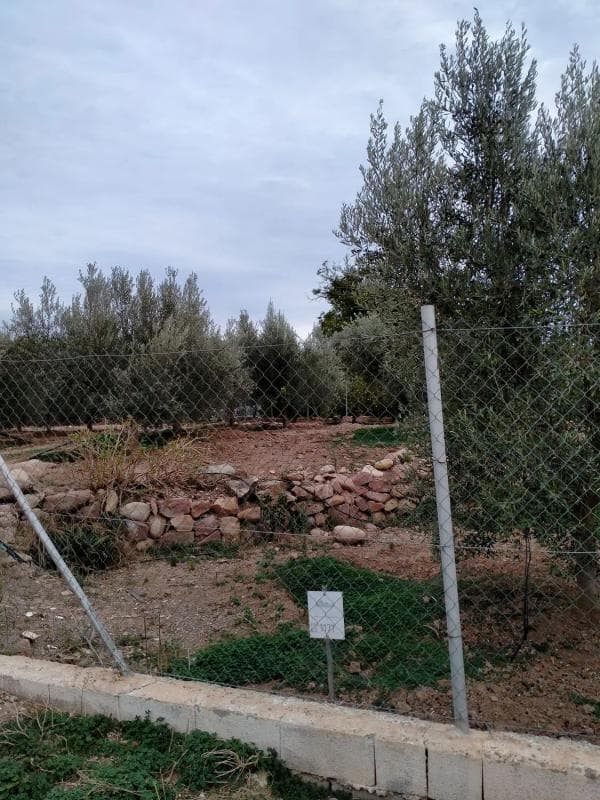 Terreno en venta en Petrés, Valencia photo 4