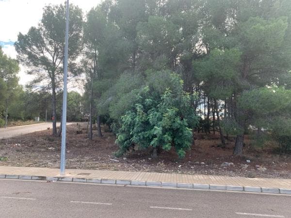 Terreno en Urbanización Tarongers s/n thumbnail 2