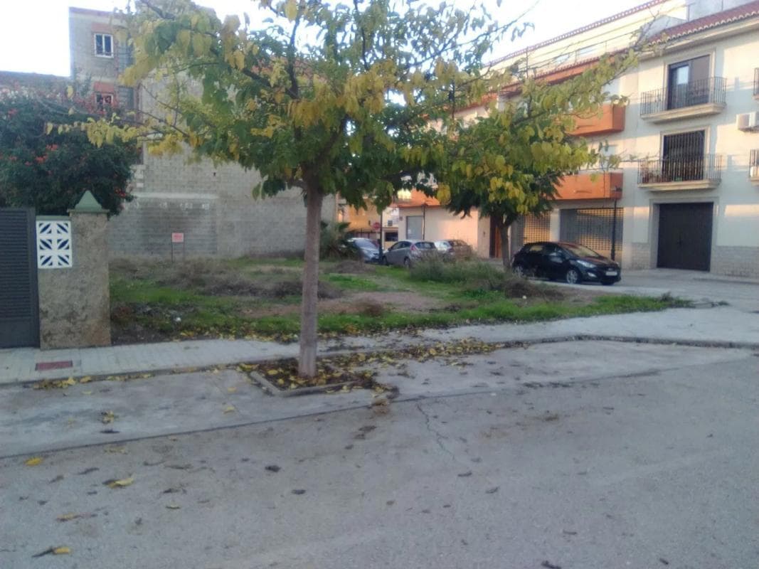 Terreno en venta en Algimia de Alfara, Valencia photo 3