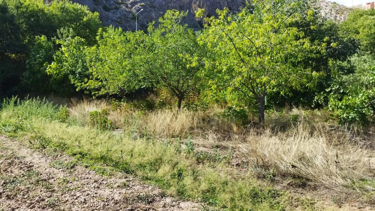 Terreno en venta en Castielfabib, Valencia photo 5