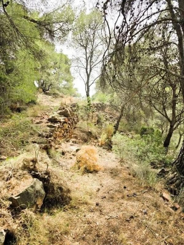 Terreno en venta en Serra, Valencia photo 2