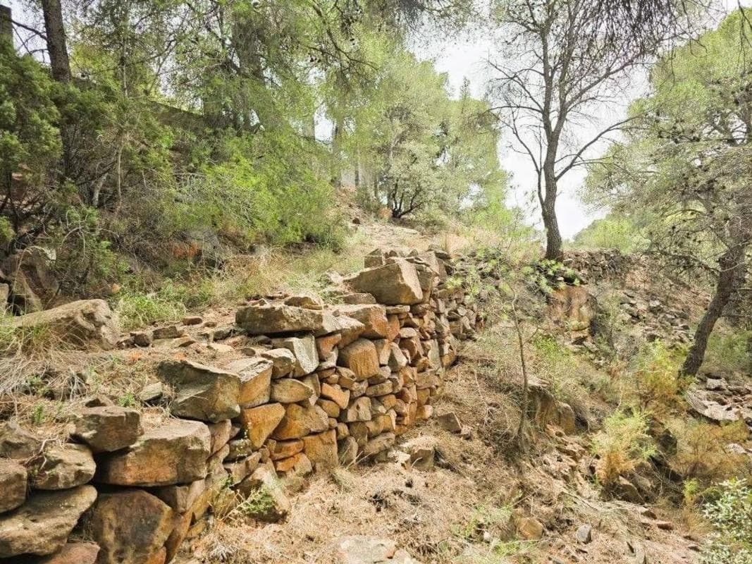 Terreno en venta en Serra, Valencia photo 3
