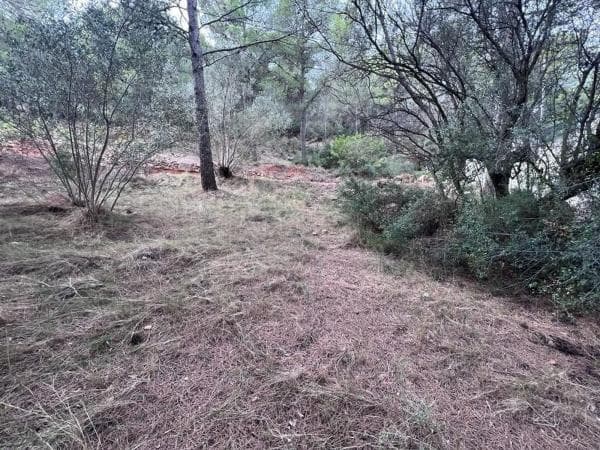 Terreno en camino Campamento photo 2