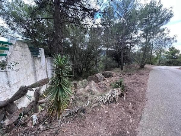 Terreno en camino Campamento photo 3