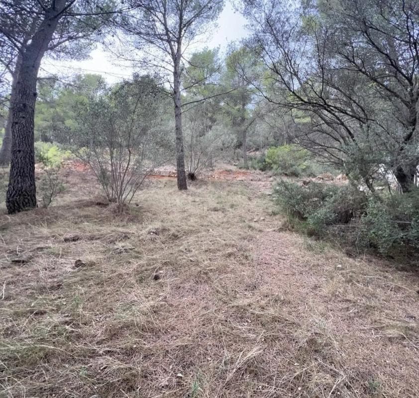 Terreno en venta en Serra, Valencia photo 4