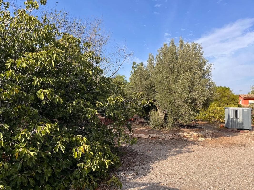 Terreno en venta en Riba-Roja de Túria, Valencia photo 5