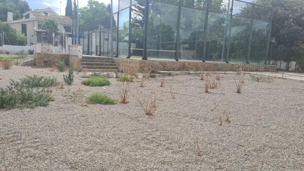 Terreno en Montealegre photo 1