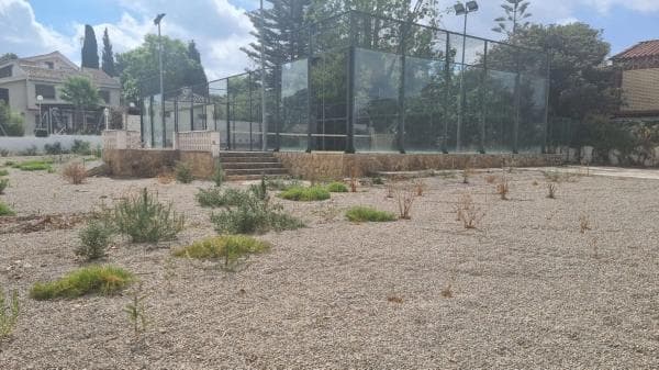 Terreno en Montealegre photo 2