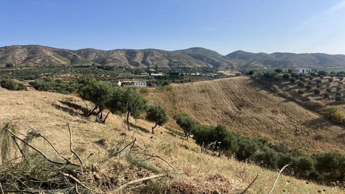 Terreno en venta en Náquera, Valencia photo 5