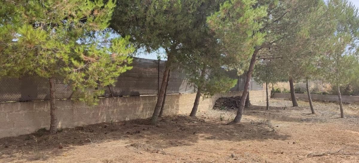 Terreno en venta en Marines, Valencia photo 4