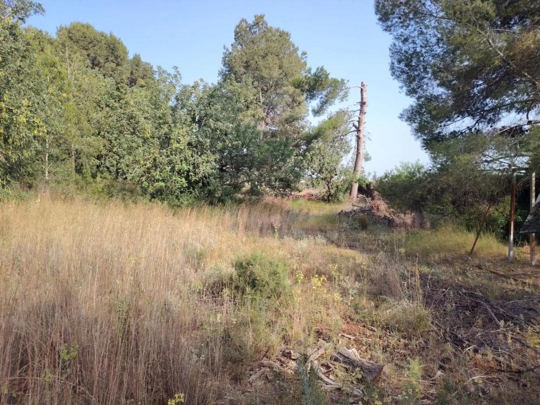 Terreno en venta en Llíria, Valencia photo 2