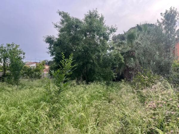 Terreno en Montesol photo 1