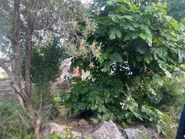 Terreno en Montesol photo 2