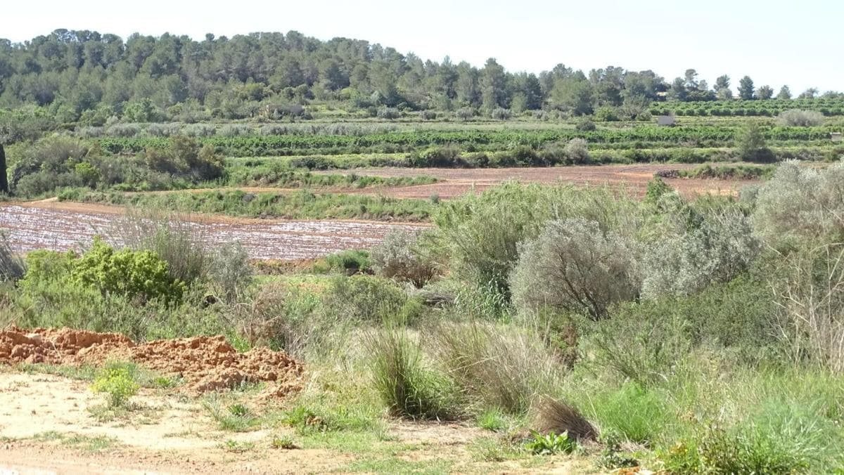 Terreno en venta en Vilamarxant, Valencia photo 3