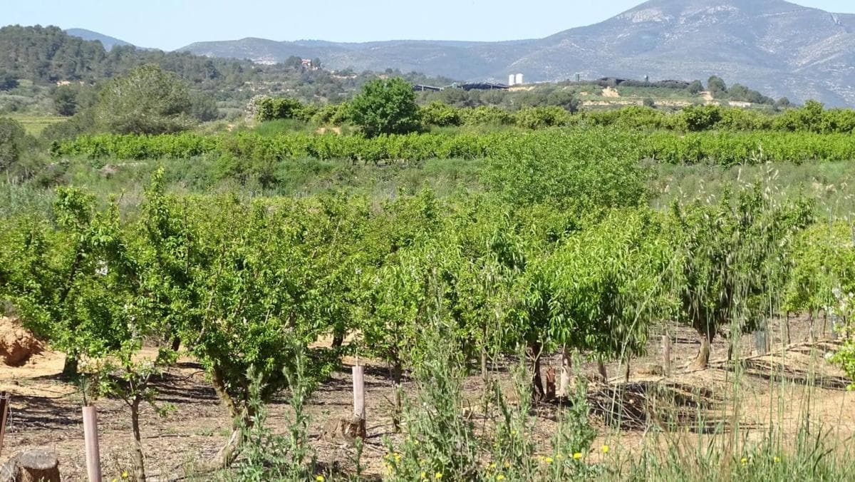 Terreno en venta en Vilamarxant, Valencia photo 4
