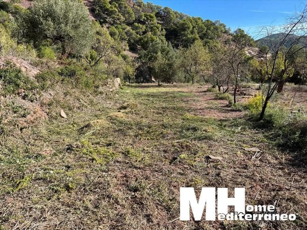 Terreno en venta en Serra, Valencia photo 2