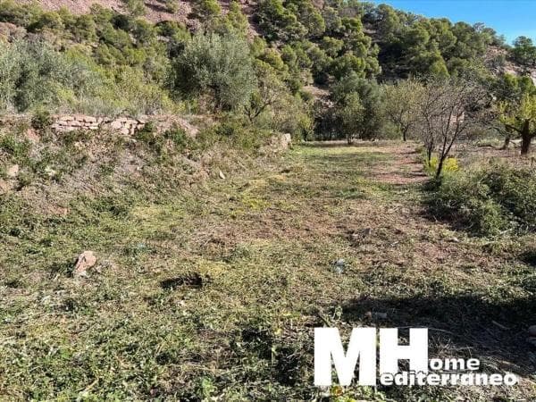 Terreno en Serra photo 4
