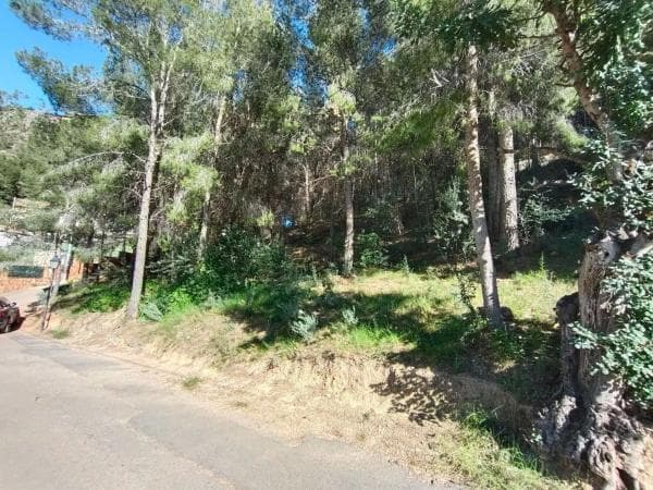 Terreno en San Miguel - El Paraíso photo 1