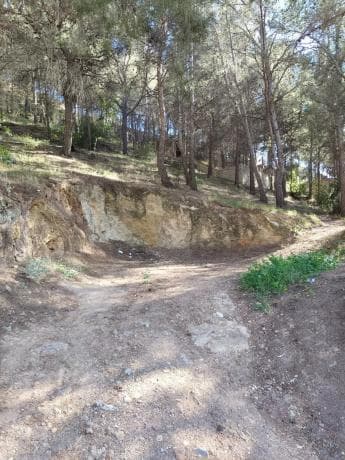Terreno en San Miguel - El Paraíso thumbnail 2