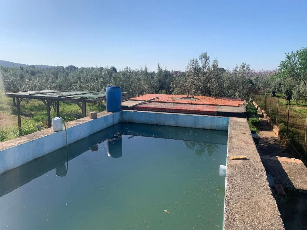 Terreno en venta en Llíria, Valencia photo 3
