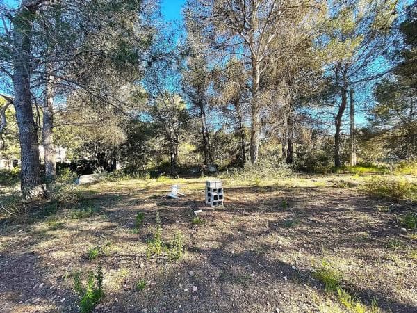 Terreno en Barranco Mucholina s/n thumbnail 1