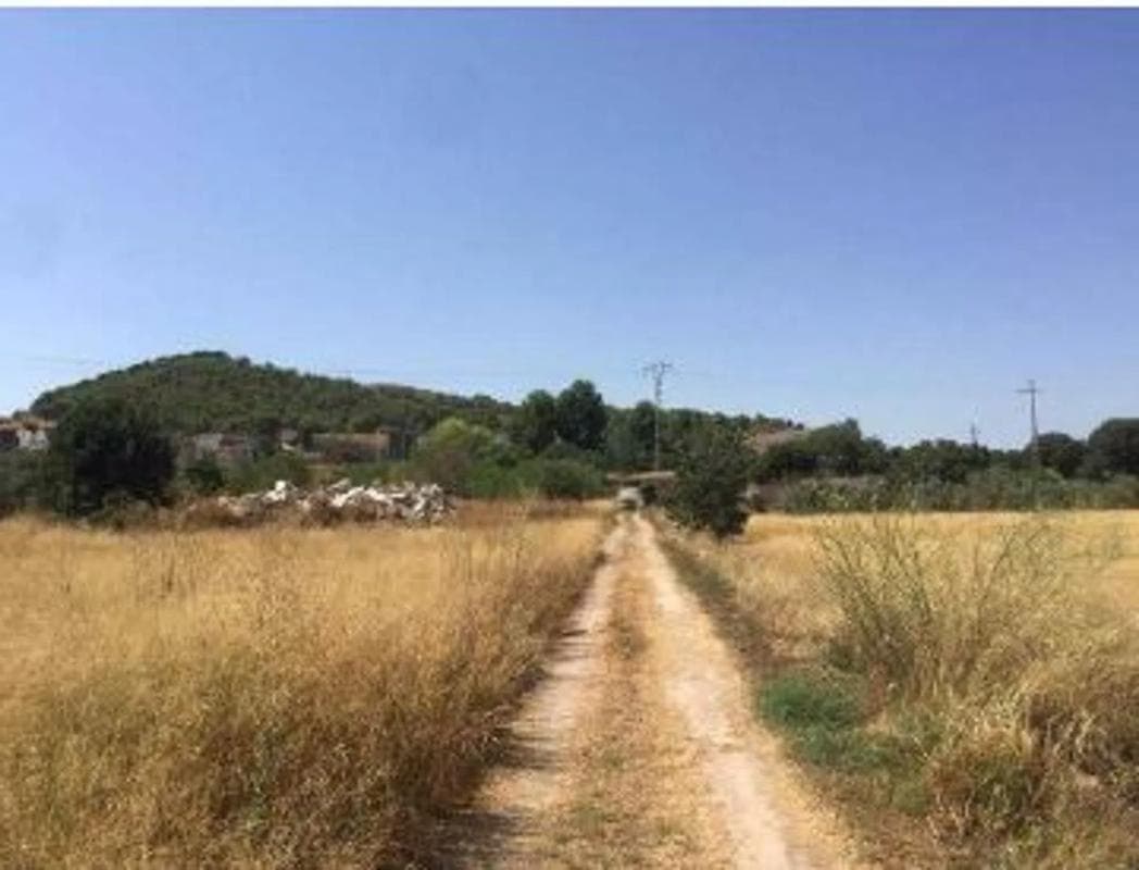 Terreno en venta en Llíria, Valencia photo 3