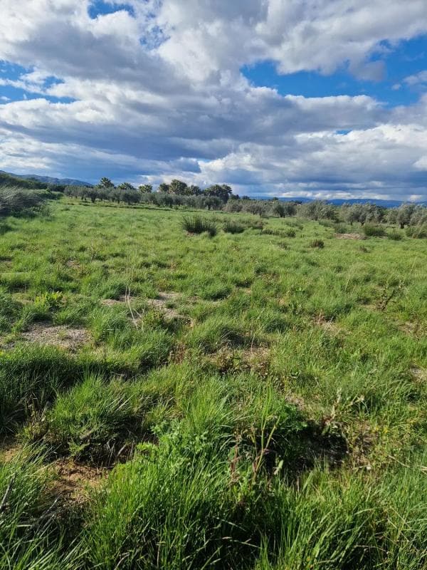 Terreno en venta en Vilamarxant, Valencia photo 2