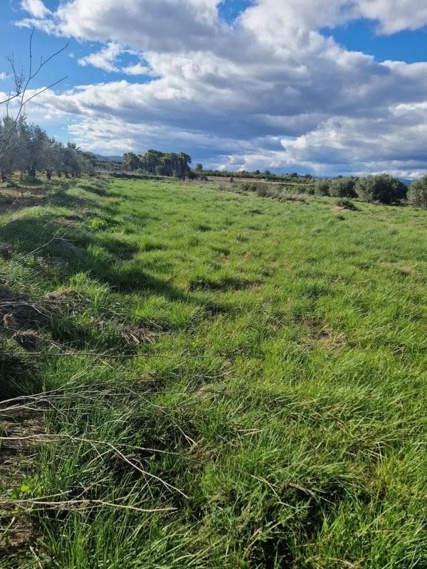 Terreno en venta en Vilamarxant, Valencia photo 4