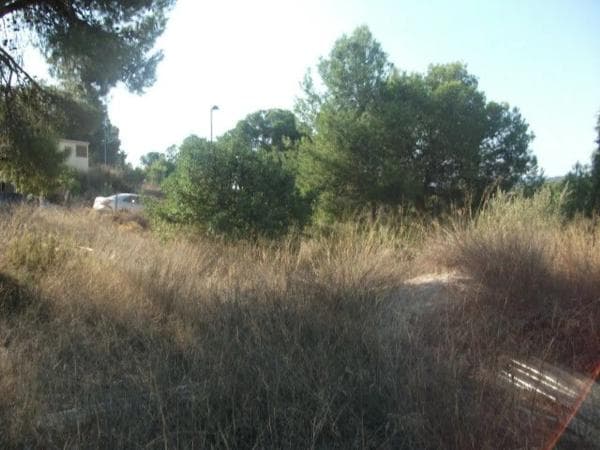 Terreno en Casinos photo 3