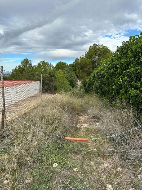 Property photo 4