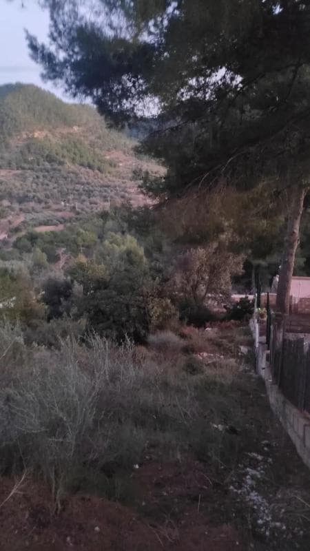 Terreno en venta en Serra, Valencia photo 3