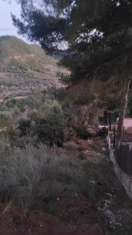 Terreno en plaza Poligono 4, 704 thumbnail 2
