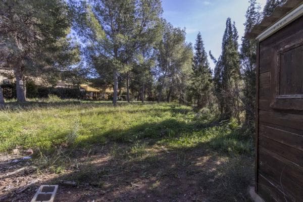 Terreno en Serra photo 4