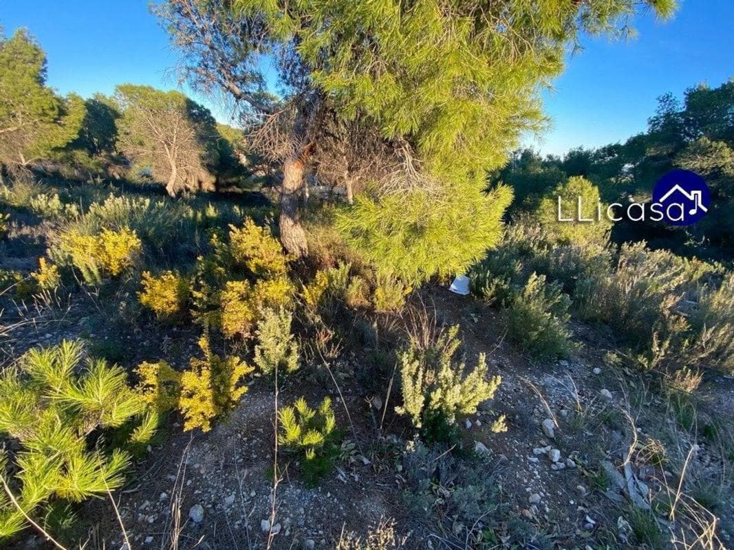 Terreno en venta en Casinos, Valencia photo 2