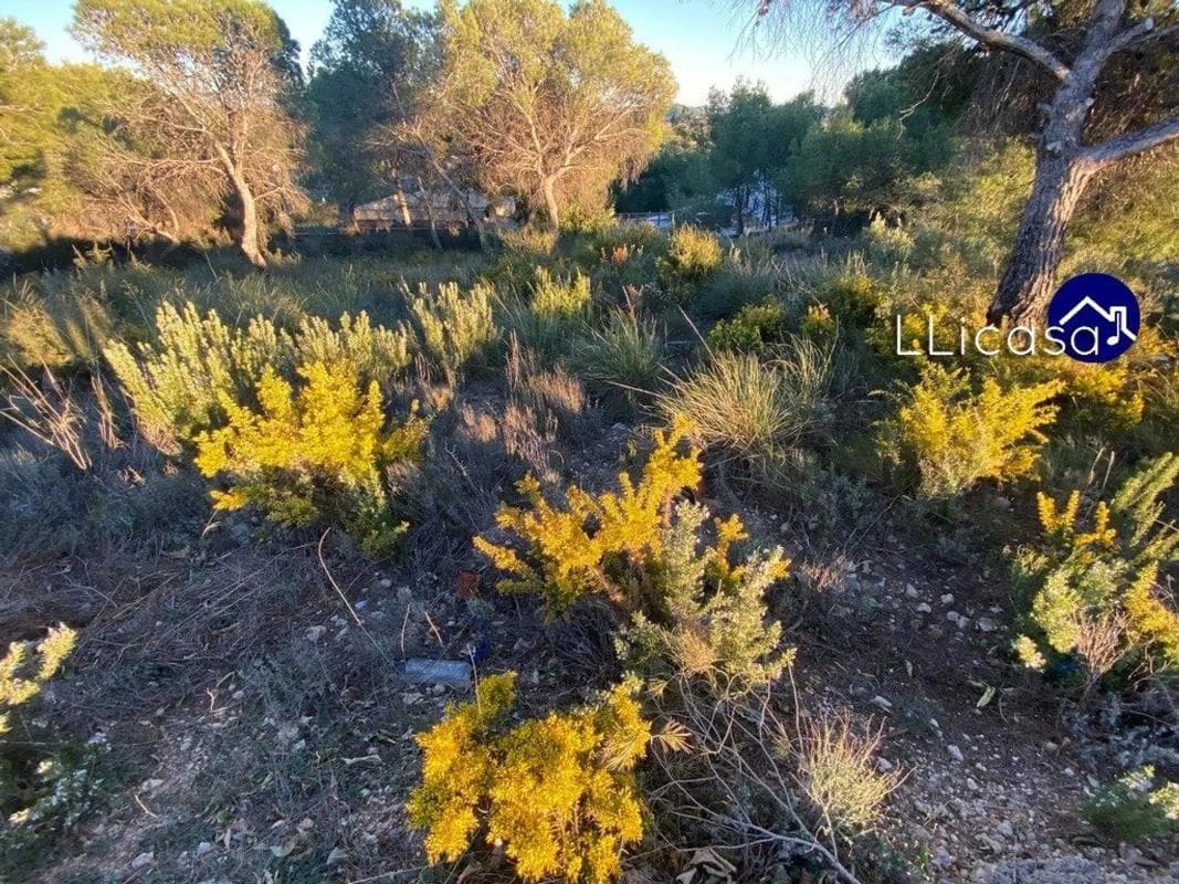 Terreno en venta en Casinos, Valencia photo 3