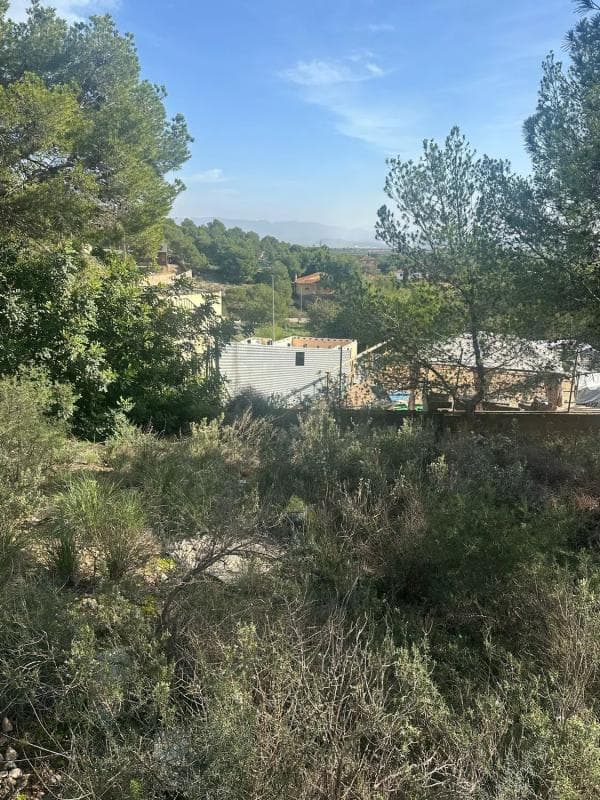 Terreno en venta en Casinos, Valencia photo 5