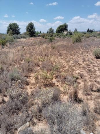 Terreno en Diseminado P073, km 6 D photo 1