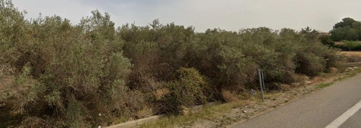 Terreno en venta en Llíria, Valencia photo 3