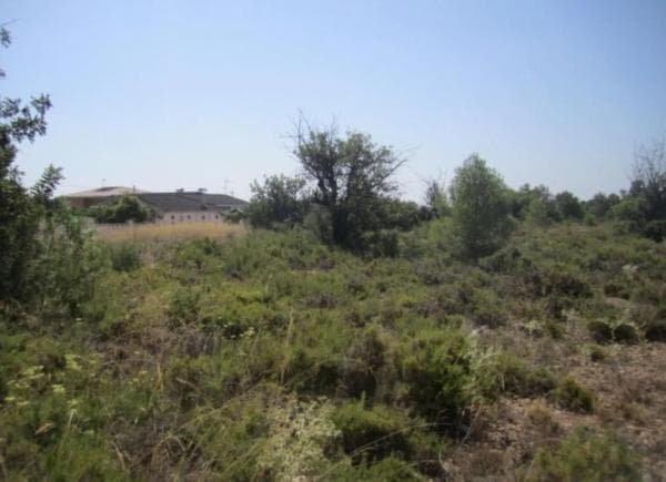 Terreno en camino del Corral de la Marquesa thumbnail 1