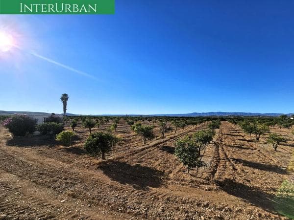Terreno en Santa Bárbara photo 1