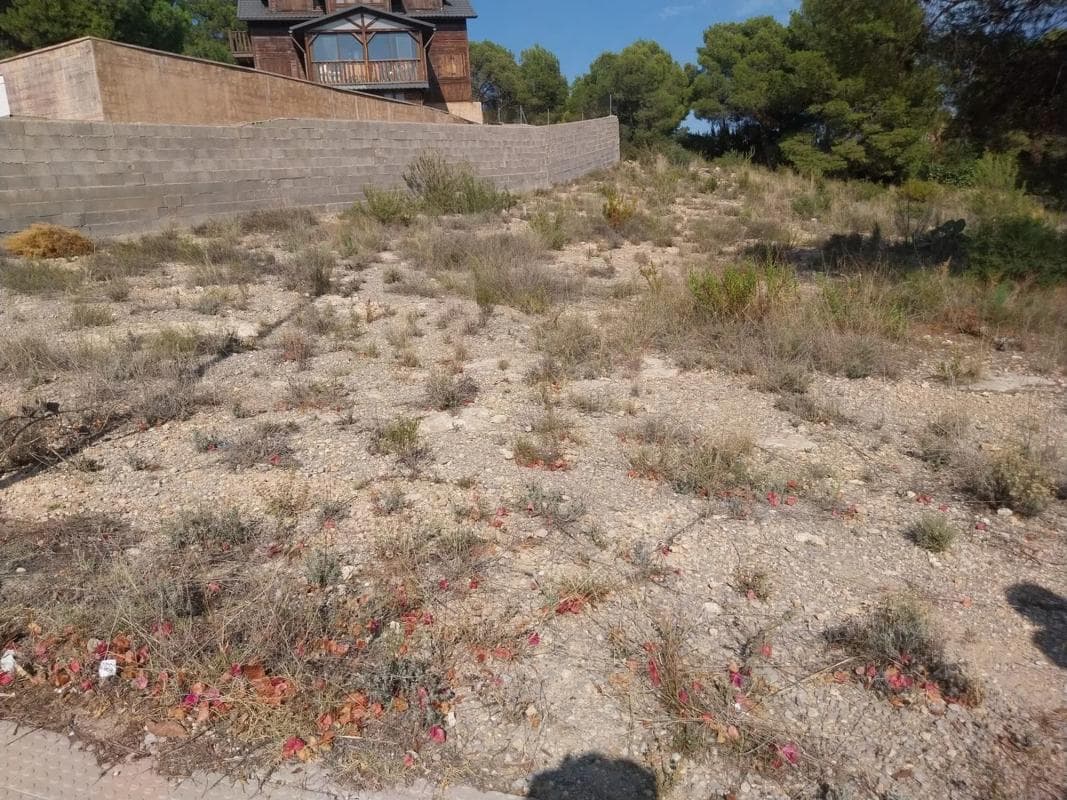 Terreno en venta en Casinos, Valencia photo 2