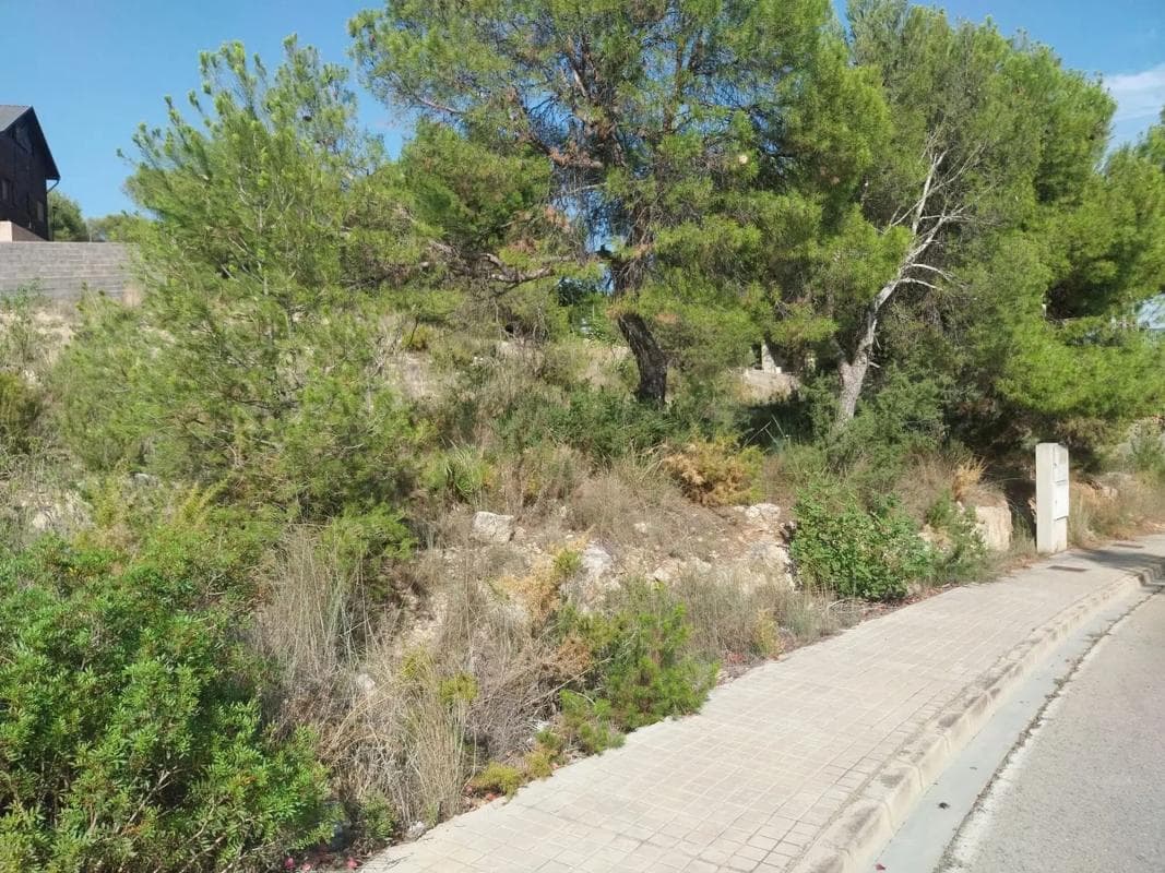 Terreno en venta en Casinos, Valencia photo 3
