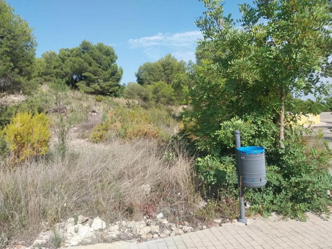 Terreno en venta en Casinos, Valencia photo 4