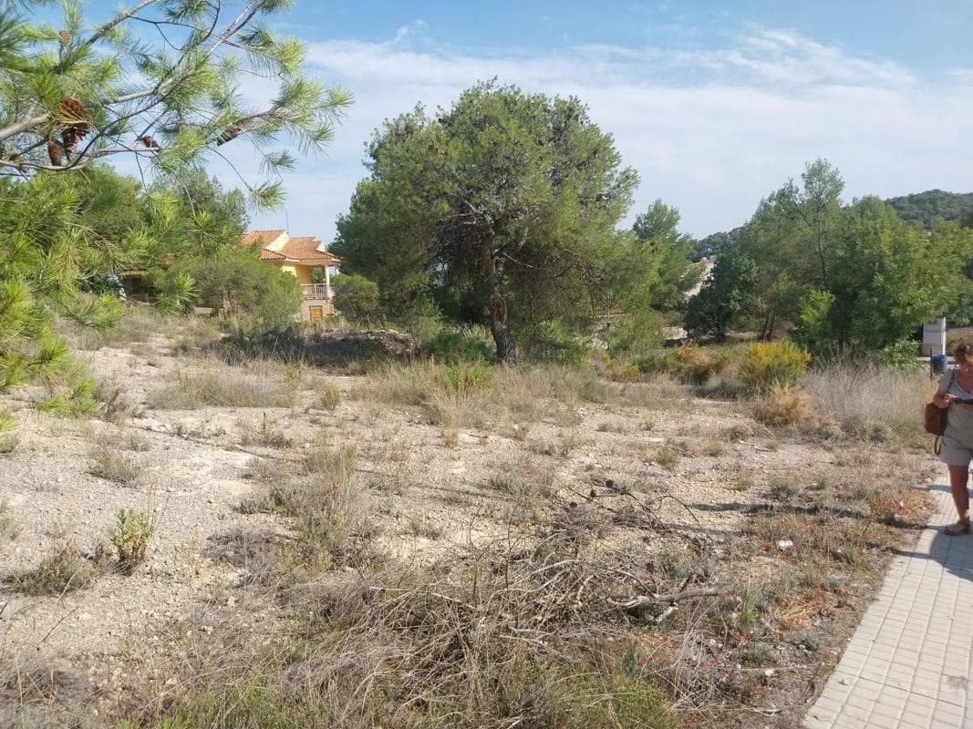 Terreno en venta en Casinos, Valencia photo 5